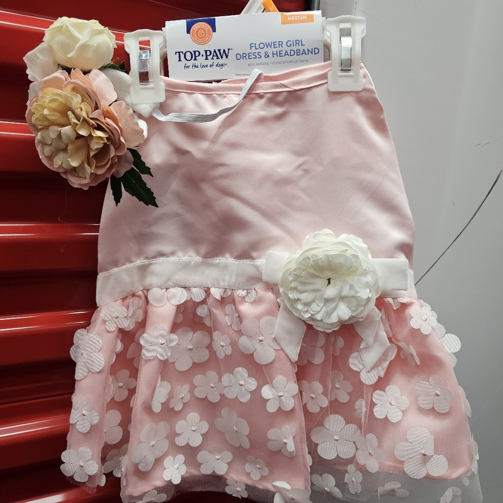 Dog Flower Girl Dress & Headband